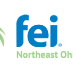 FEI logo