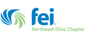 FEI logo