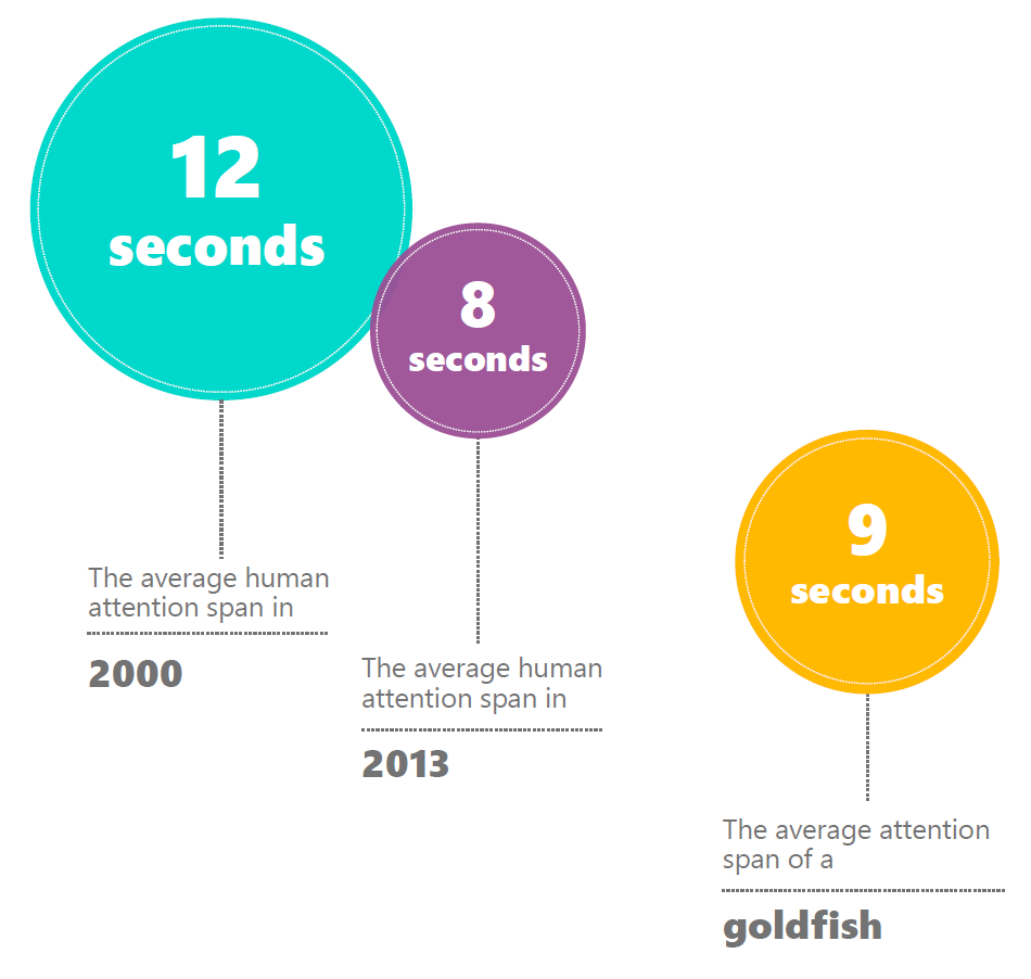 attention span in 2017